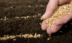 Agri/Grain & General Merchandising